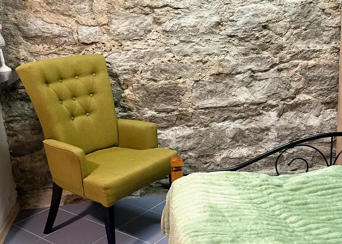 公寓 Villardi & Free Parking 塔林